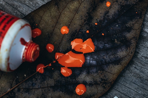 Närbild av ett torrt blad med orange akrylfärg på det