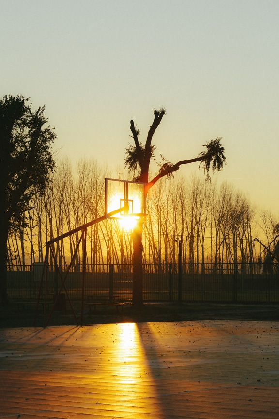 Basketballbane i golden hour i soloppgang med solstråler på basketball hoop