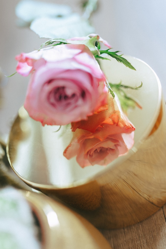 ภาพสะท้อนของดอกกุหลาบตูมสีชมพูบนถ้วยทอง