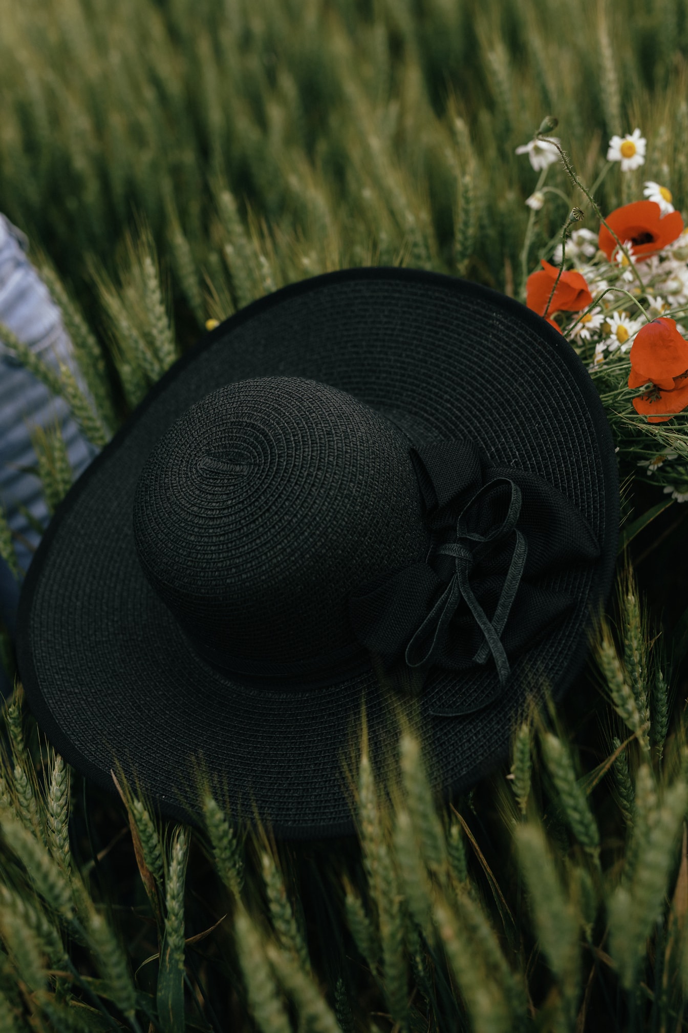 Chapéu preto da moda em um trigo verde no campo com flores