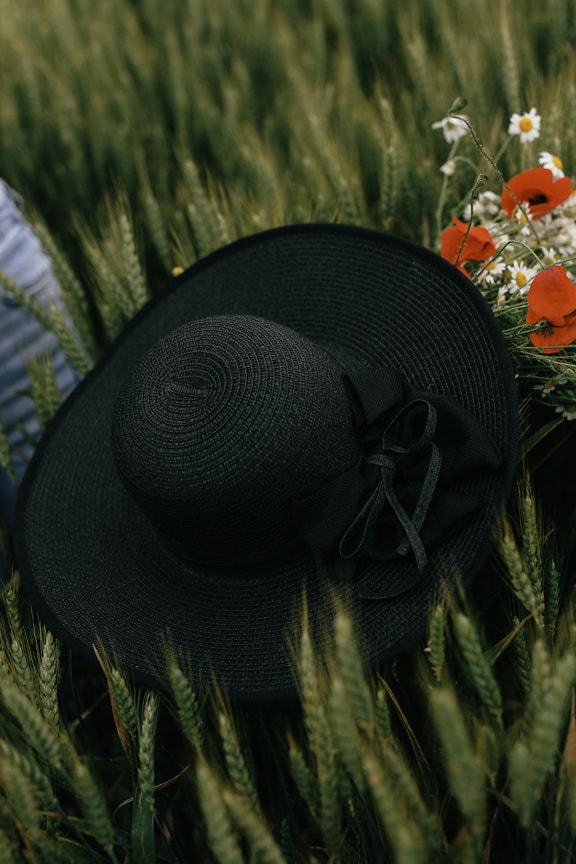 Black fashionable hat on a green wheat in field with flowers