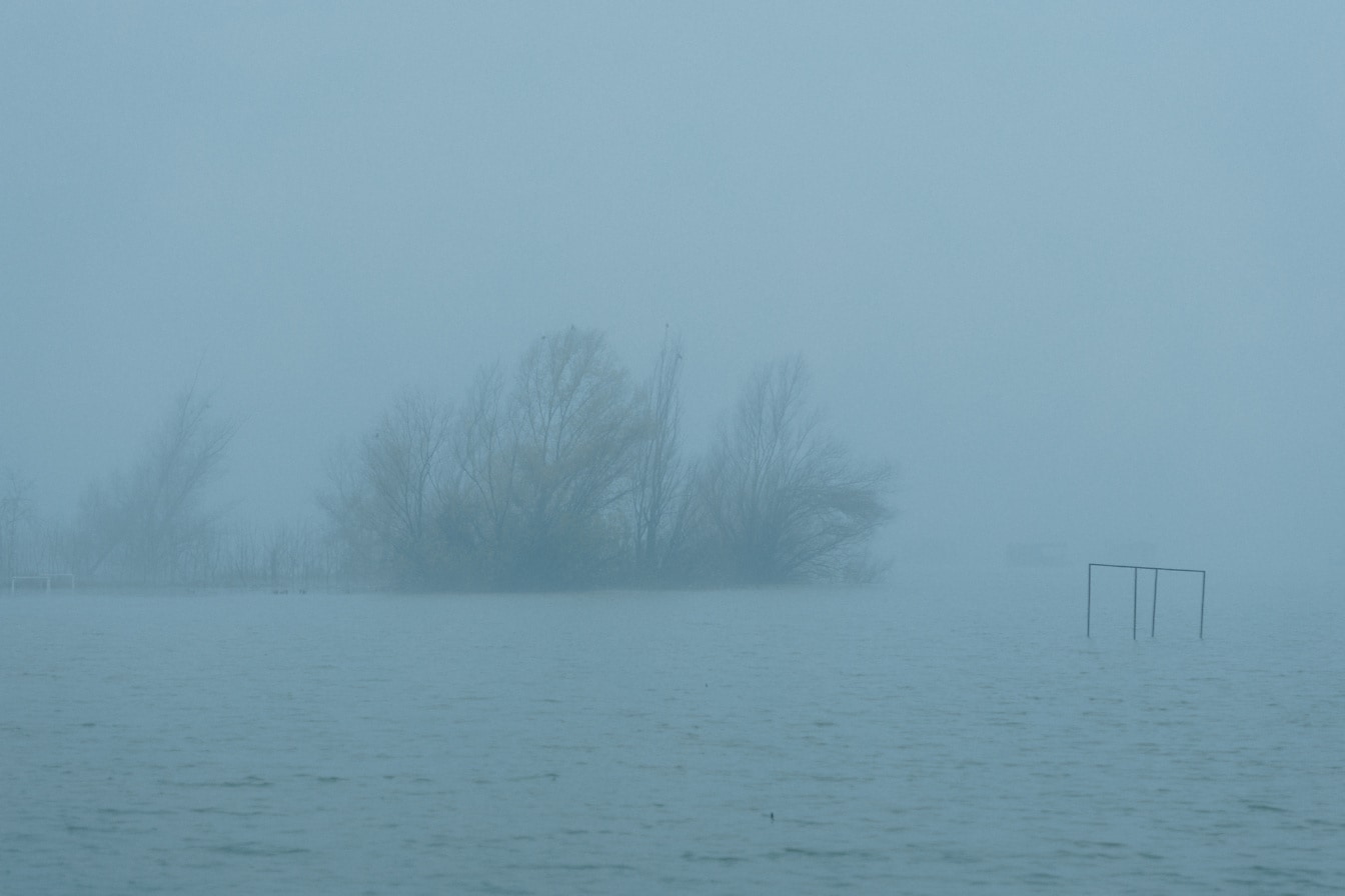 Voda sa siluetom drveća usred jezera i gustom maglom kao pozadinom