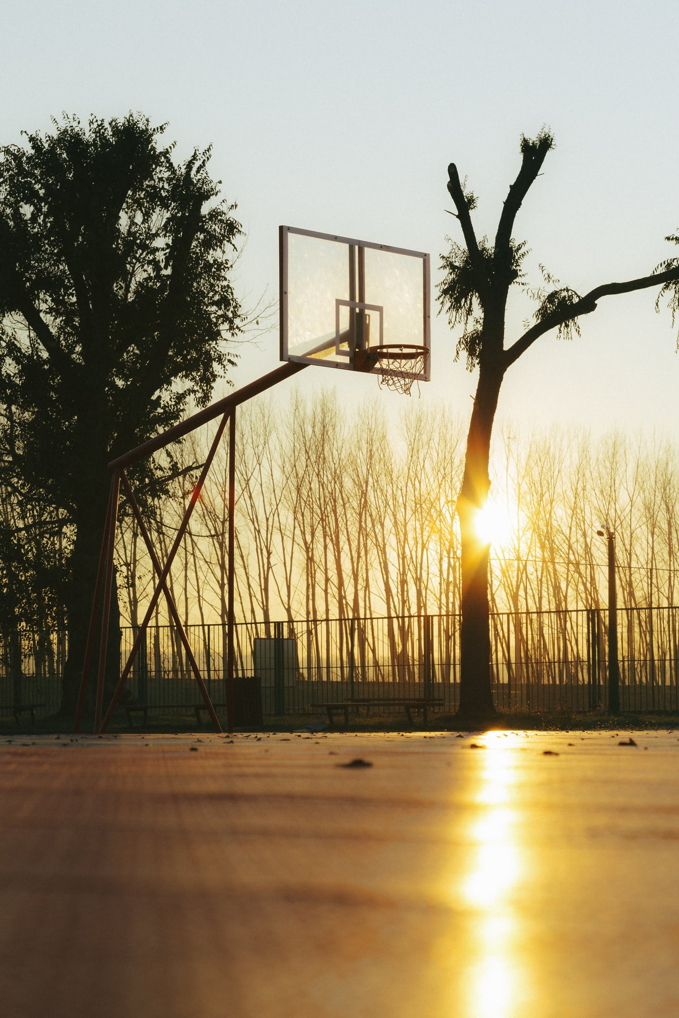 Genomskinlig basketkorg med basketkorg på tom park vid soluppgången