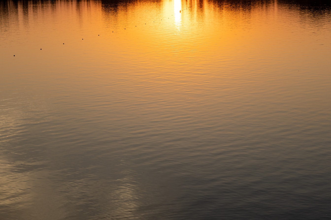 Rauhallinen vesipinta, jossa heijastus auringonnoususta horisontissa