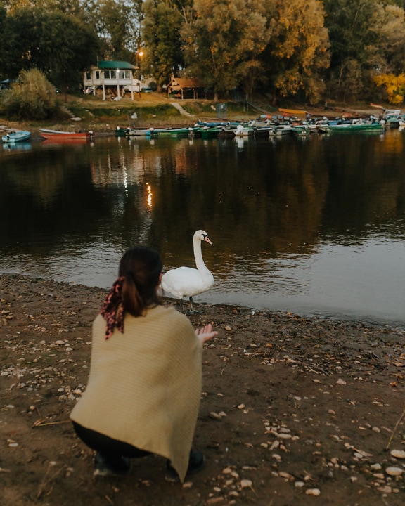 Woman crouching on the shore of a lake with a white swan