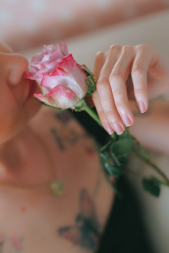 ピンクのバラのつぼみを手に嗅ぐ女性