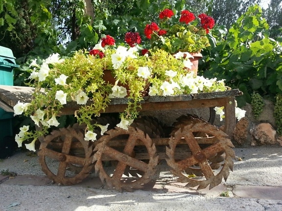 Old rustic rusty wheelbarrow with flowers on it in flower garden
