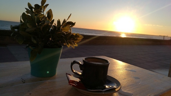 En kopp kaffe og en blomsterpotte på et bord på restaurant ved sjøen med solnedgang i bakgrunnen