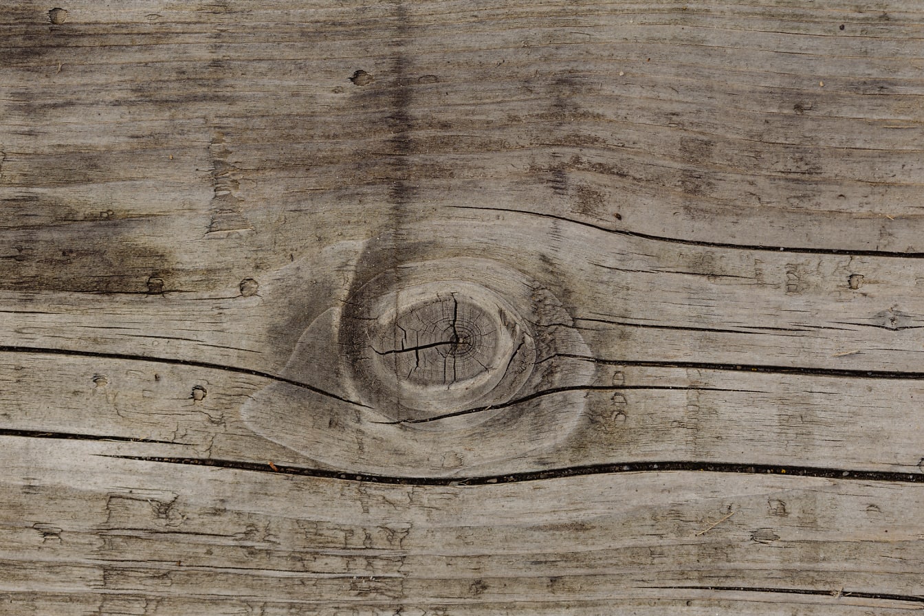 Kết cấu của một tấm ván gỗ cứng với nút thắt