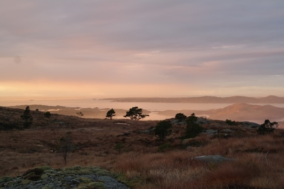 Paesaggio con alberi e baia nebbiosa sullo sfondo all’alba
