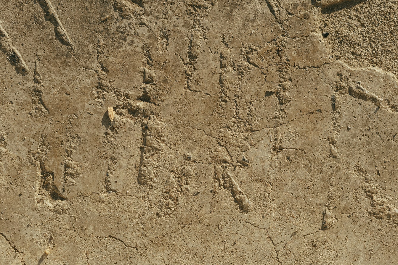 Krupni plan grube zidne površine sa žućkasto smeđim cementom