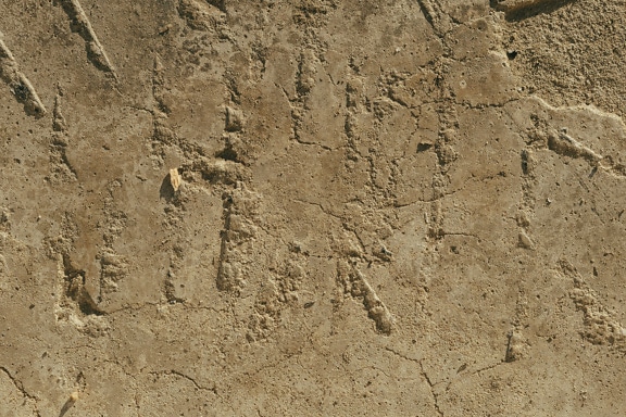 Närbild av en grov väggyta med gulbrun cement