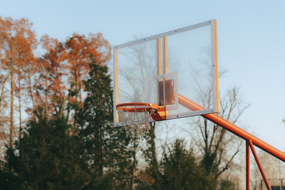 Basketballkorb mit transparenter Rückwand und mit Bäumen im Hintergrund