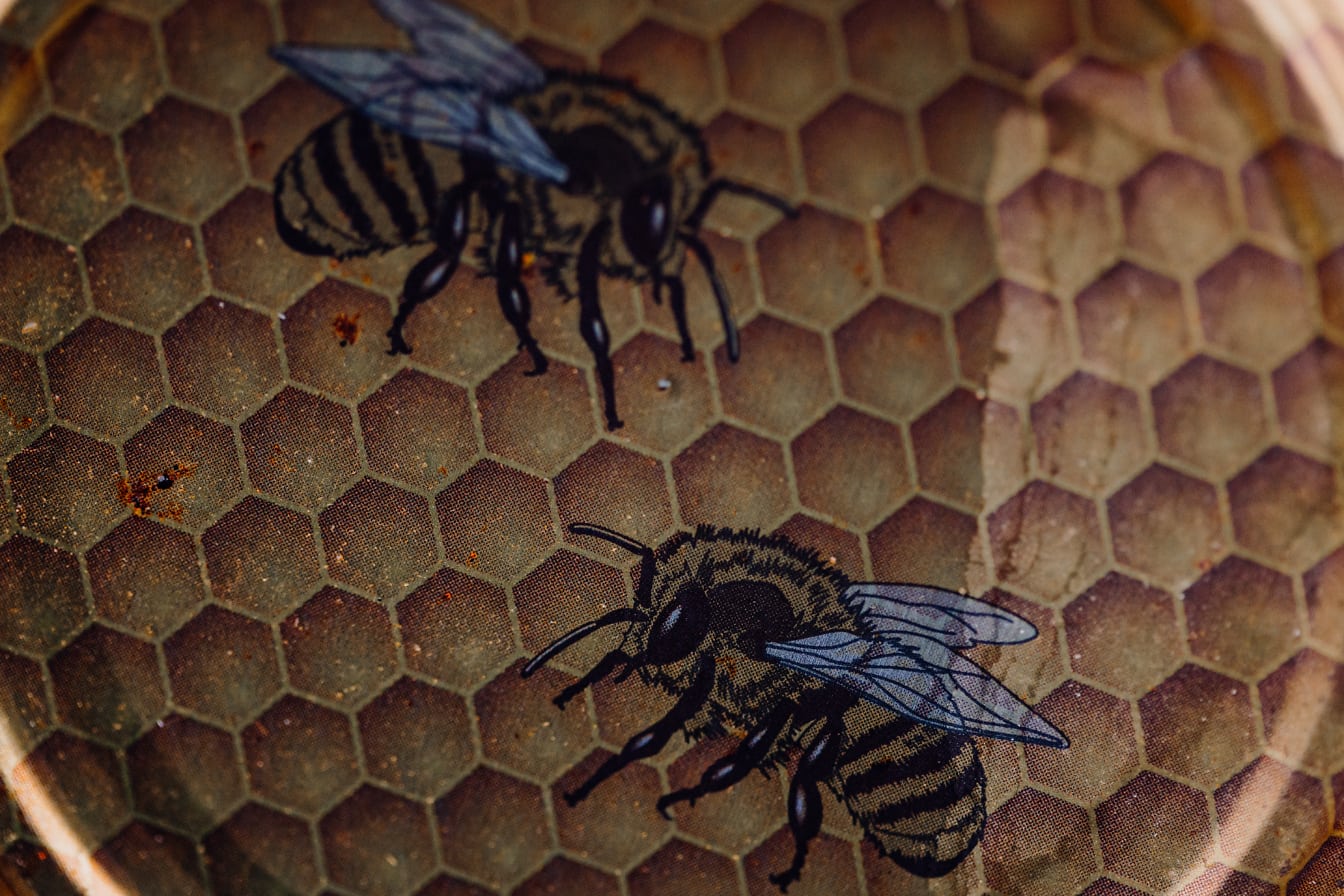Kavanoz kapağının üstüne basılmış bir bal arısı çizimi