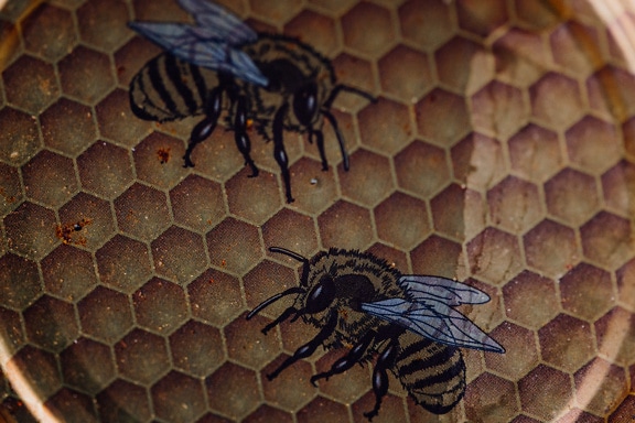 Ilustração de uma abelha de mel impressa em cima da tampa do frasco