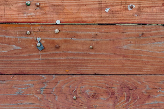 Wood plank with metal pins and nails
