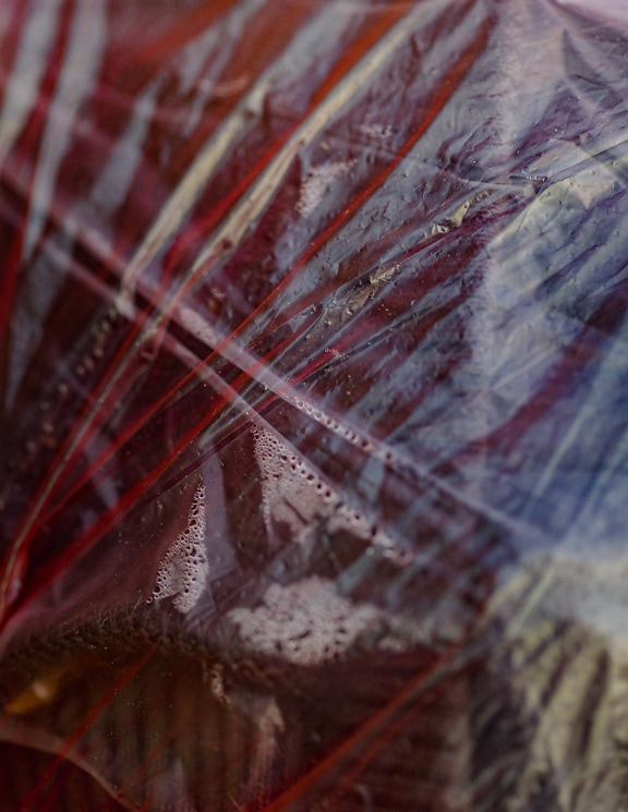 επιφάνεια διαφανούς κοκκινωπής πλαστικής σακούλας με συμπύκνωση νερού