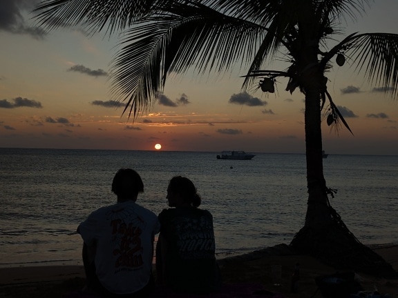 Silueta de pareja romántica sentada en la playa bajo la palmera y disfrutando de la puesta de sol