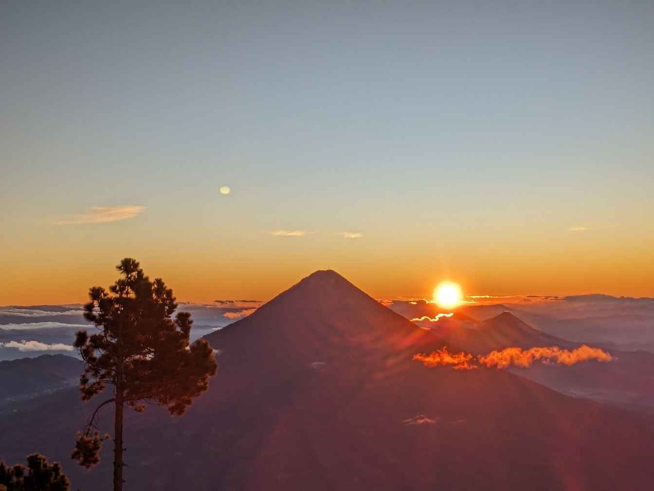 Силуэт сосны на вершине горы на закате с солнечными лучами в качестве подсветки