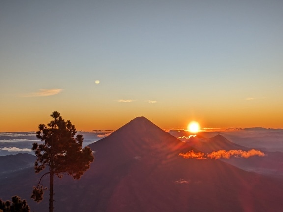 Silhuett av furu på toppen av et fjell ved solnedgang med solstråler som bakgrunnsbelysning