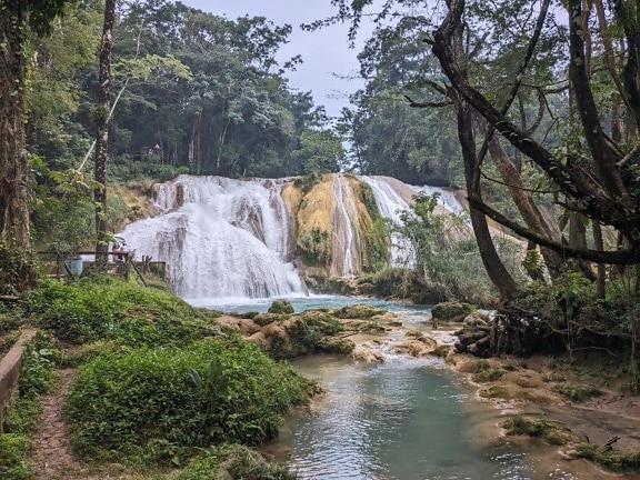 Wodospad Agua Azul w lesie