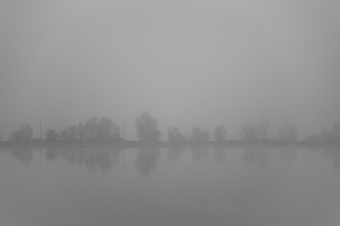 Ceață densă pe malul lacului cu silueta copacilor în depărtare