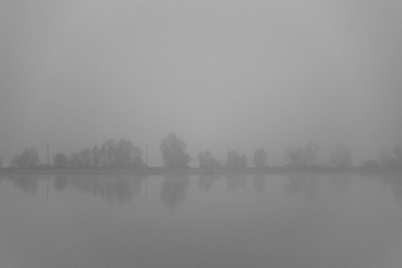Ceață densă pe malul lacului cu silueta copacilor în depărtare