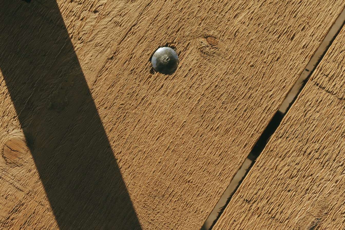 Tornillo de acero con tapa redonda en tablón de madera