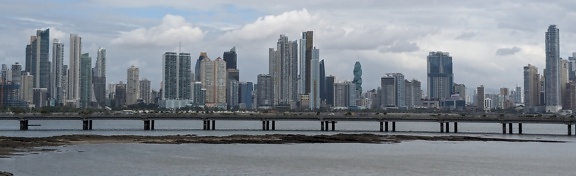 Arka planda metropol panoraması olan körfez üzerinde bir köprü