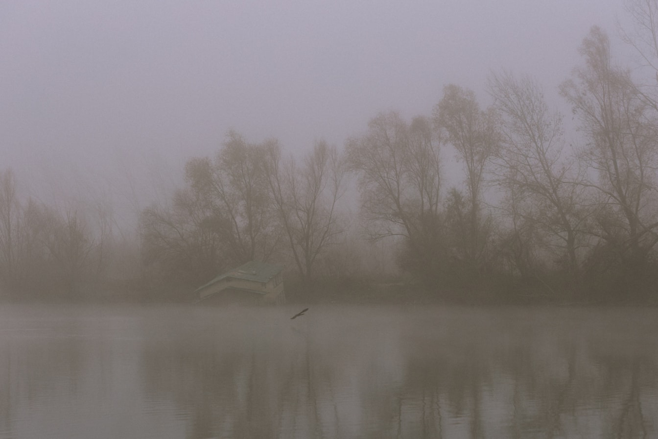 Гъста мъгла на брега на езерото с наводнена къща на брега