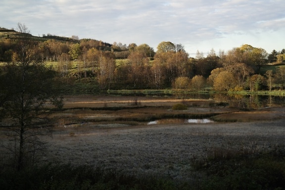 เช้าฤดูใบไม้ร่วงที่หนาวเย็นและเงียบสงบบนชายฝั่งทะเลสาบ