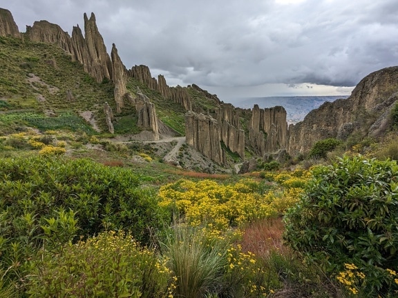 Fiori gialli nella valle degli spiriti nel parco naturale in Bolivia