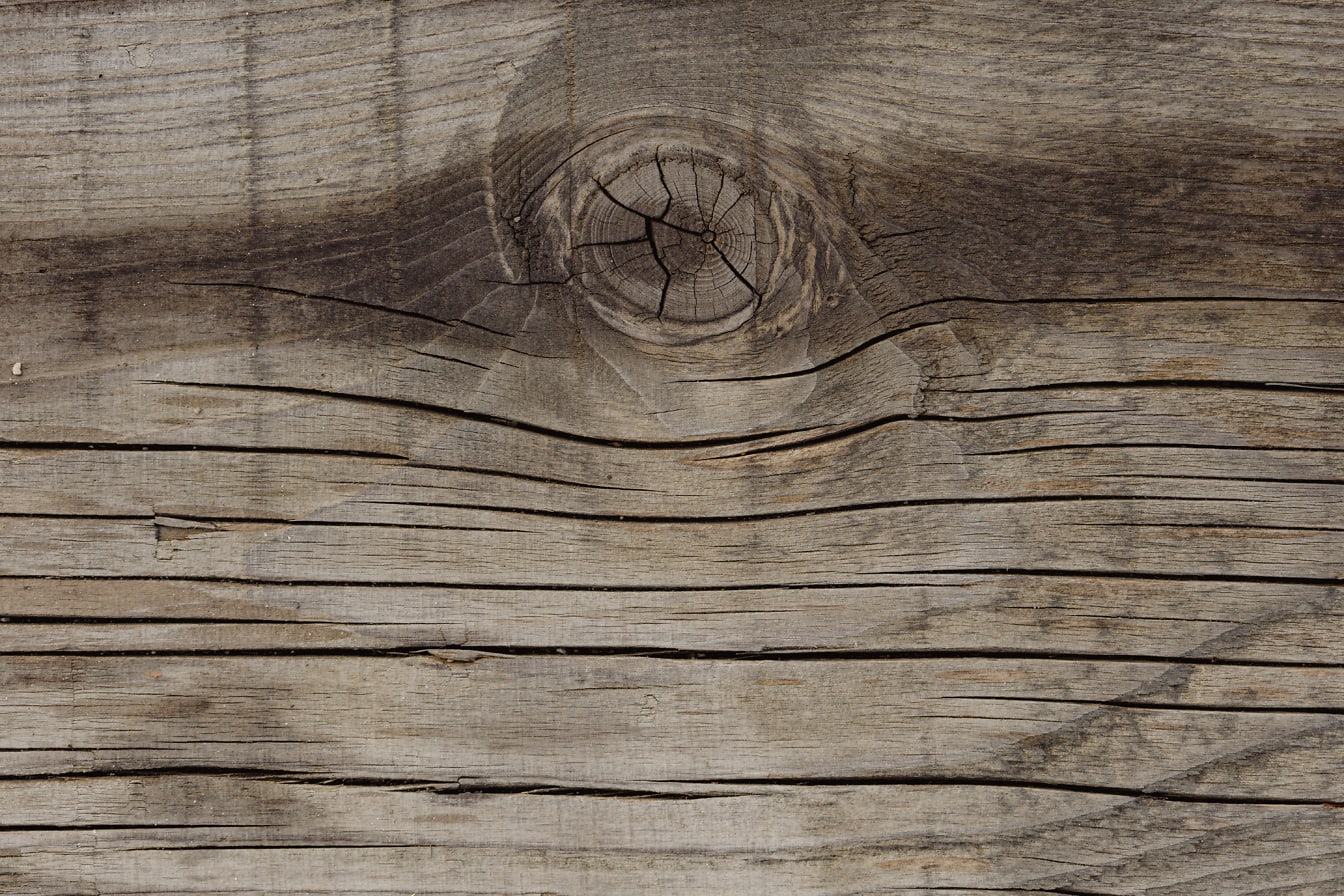 褪色的干木板的纹理，上面有一个结