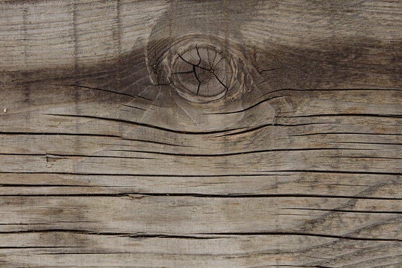 Texture of a faded dry wooden board with a knot on it