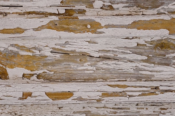 Texture of horizontally stacked planks painted in white paint that falls off