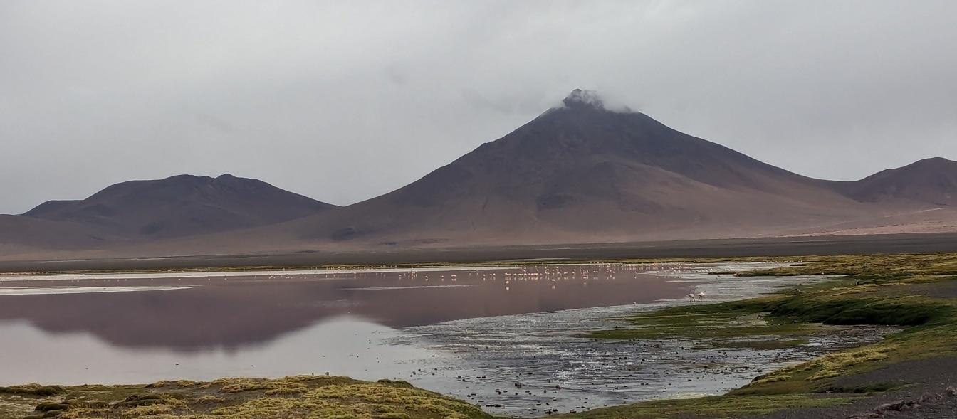 Озеро Лагуна Колорада с горой на заднем плане в Боливии