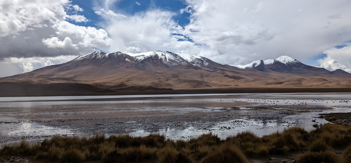 Laguna Hedioda, lago de gran altitud en Bolivia con montañas cubiertas de nieve en el fondo.