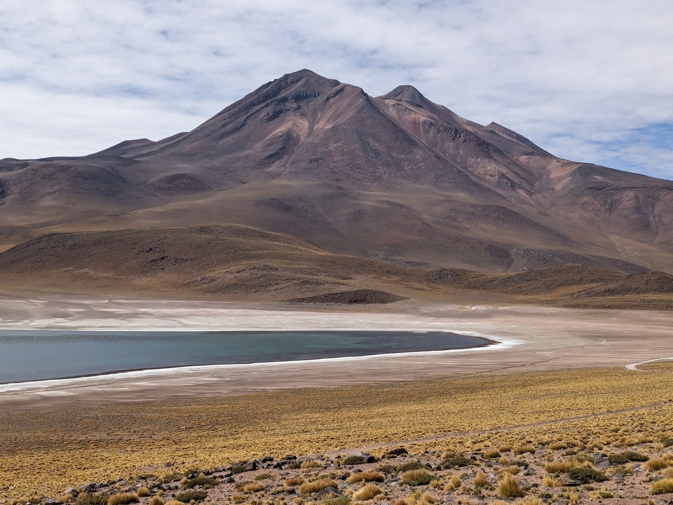 Laguna dataran tinggi di gurun Atacama