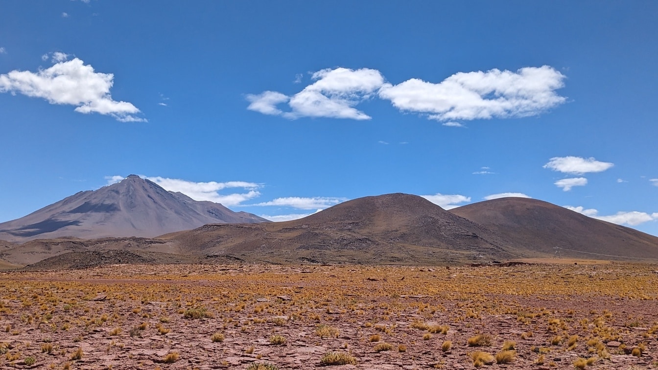 Güney Amerika’daki Atacama çölünde yüksek rakımlı Altiplano platosunun manzarası