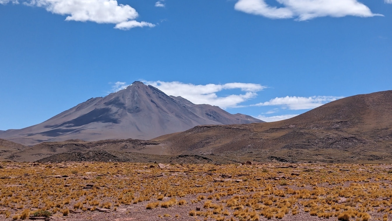 Krajobraz płaskowyżu Altiplano na dużej wysokości z górą w tle