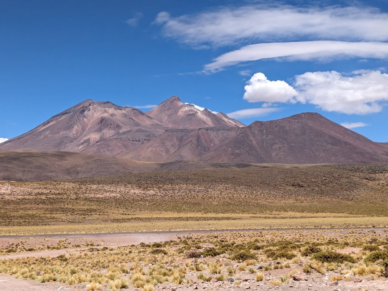Cagar alam Bolivia Norte Grande di padang pasir dengan pegunungan di latar belakang