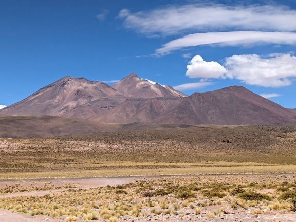 Boliviansk naturreservat Norte Grande i en ørken med fjell i bakgrunnen
