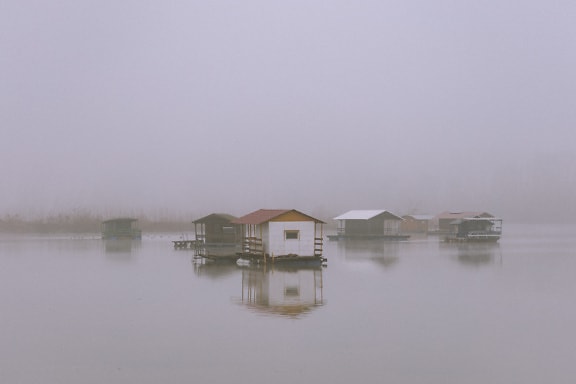 Case galleggianti nebbiose su un lago Tikvara vicino al Danubio in una città di Bačka Palanka in Serbia