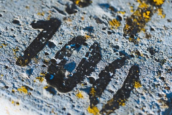 A close-up of concrete texture with yellowish lichen and number 100