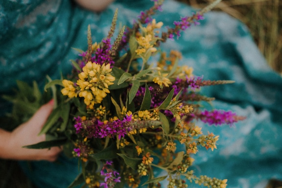 Bouquet of wildflowers in a woman’s hand