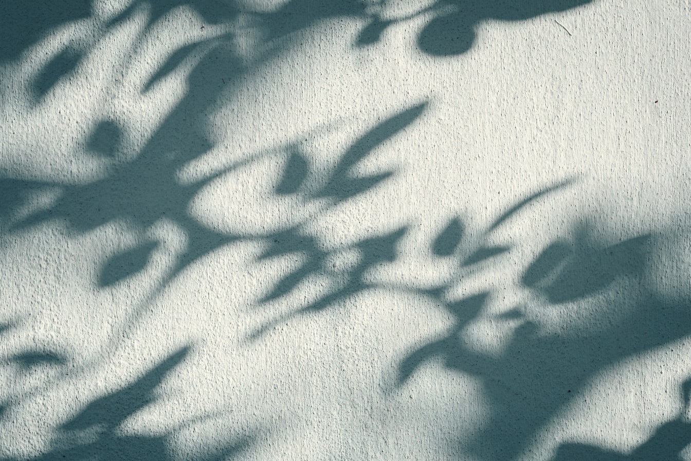 Rozmazané stíny listů a větví na zdi