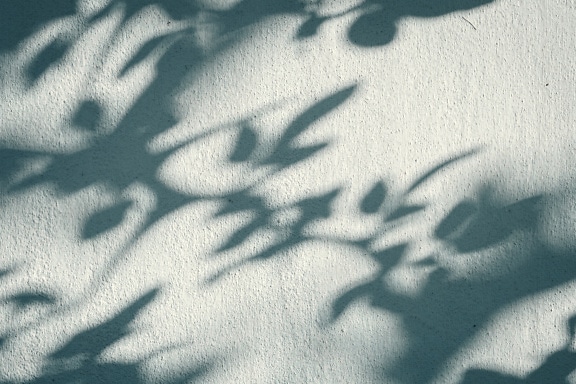 Blurry shadows of leaves and branches on the wall