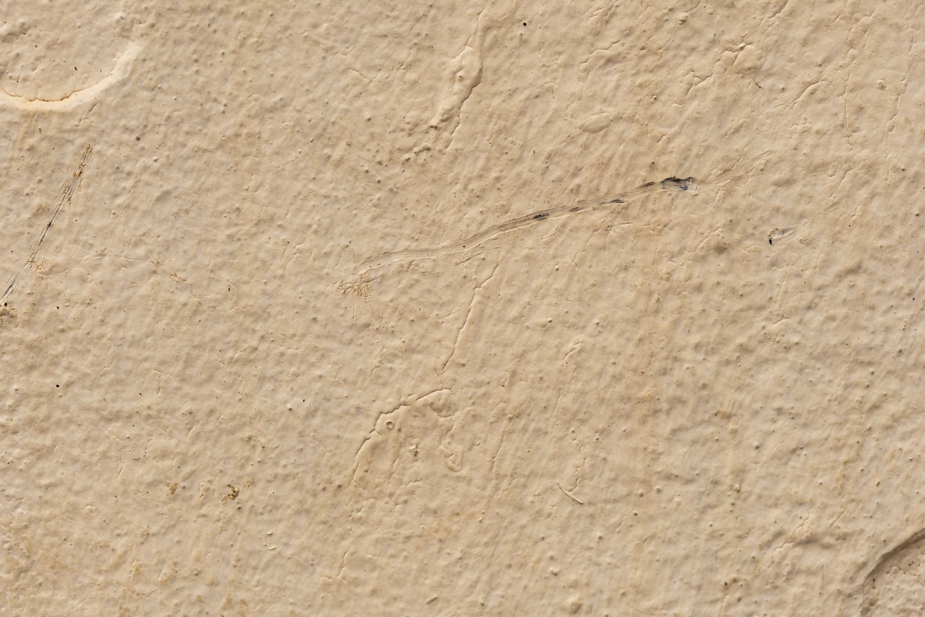 Stará béžová vápenná farba na stenu s drsným povrchom