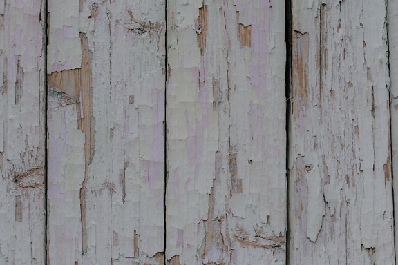 表面粗糙的垂直木板，涂有白色石灰漆
