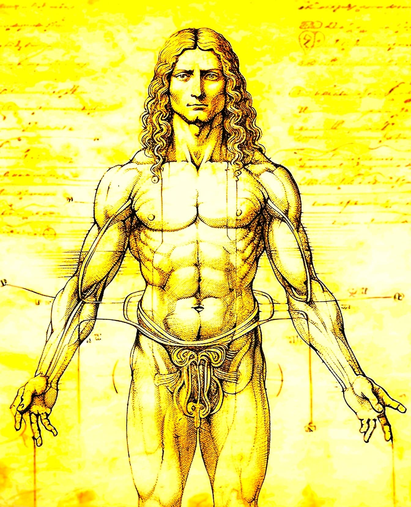Ritning av anatomin hos en muskulös man, i en stil av den vitruvianska mannen av Leonardo da Vinci